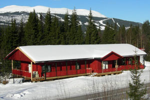 Vandrerhjem, motell og storhytte: Bjørnehiet